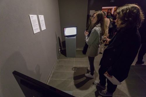 84255062.jpg fot. Michał Pietrzak