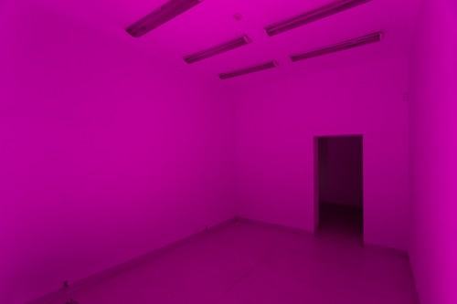 fot. Michał Pietrzak