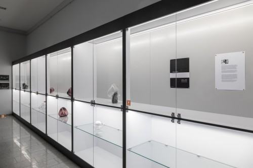 fot. Michał Pietrzak