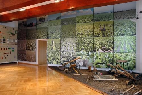 Dr hab. Agata Danielak-Kujda