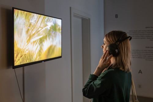 fot. Michał Pietrzak