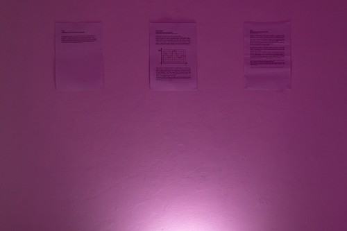 fot. Michał Pietrzak