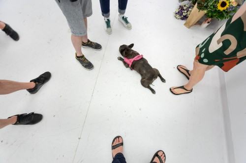 fot. Michał Pietrzak