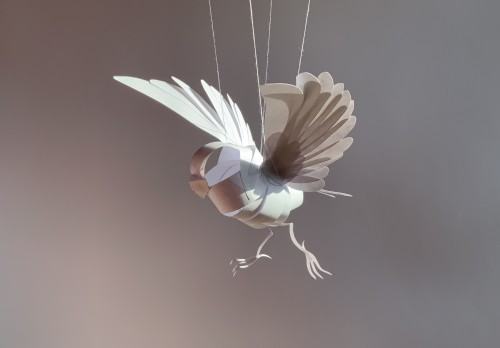 Aleksandra Błach, Zwierzę