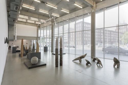 87523496.jpg fot. Michał Pietrzak