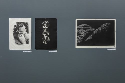 fot. Michał Pietrzak