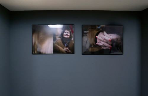 Fotografiia w Zaułku Kaćmy