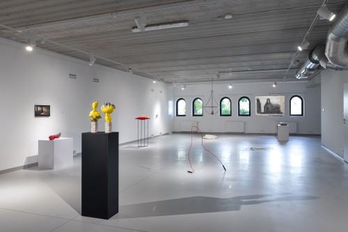 fot. Michał Pietrzak