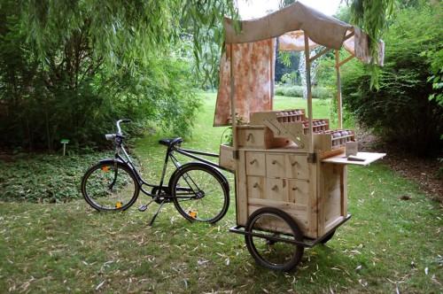 89133634.jpg Santos Cristiana, Bank nasion, 2015