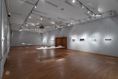 fot. Michał Pietrzak