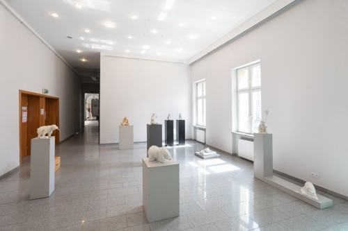 fot. Michał Pietrzak