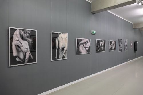 fot. Michał Pietrzak