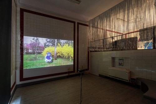 fot. Michał Pietrzak