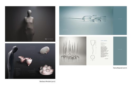 Barbara Mrożek, Daria Bojanek, Akcydens, 2017 r.