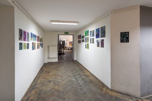 fot. Michał Pietrzak