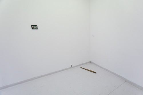 fot. Michał Pietrzak