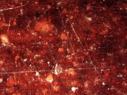 Mikrostruktura szkliwa Mikrostruktura szkliwa brązowego płytki posadzkowej z Wielkiego Refektarza z Zamku Krzyzackiego w Malborku, pow. 45x.