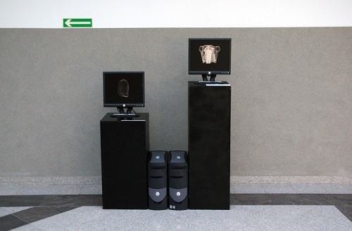 Adam Abel, METRONOM, HEAD 02