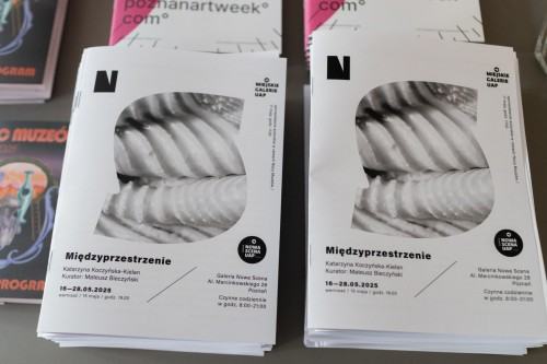 Katarzyna Koczyńska-Kielan, Międzyprzestrzenie