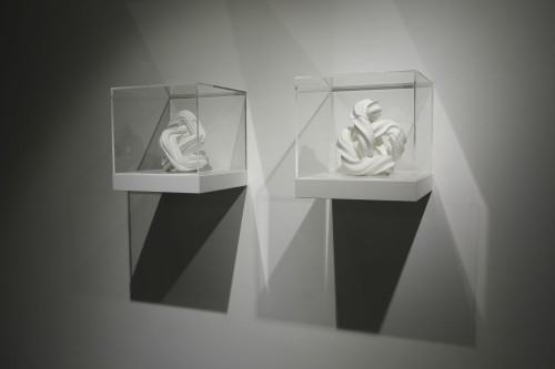 ROUGH CODE dokumentacja wystawy Adama Abla