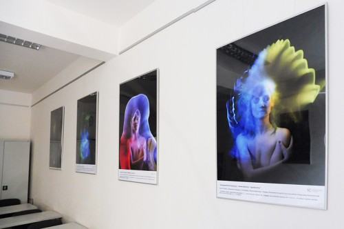 Fragment wystawy fotograficznej  studentów i absolwentów Wydziałów Malarstwa oraz Rzeźby i Mediacji Sztuki w Galerii Lingua