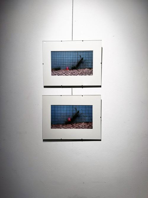 Milczące krajobrazy Milczące krajobrazy