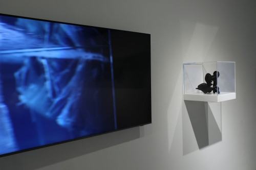 ROUGH CODE dokumentacja wystawy Adama Abla