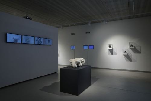 ROUGH CODE dokumentacja wystawy Adama Abla