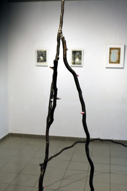 fotorelacja z wystawy Only Moments