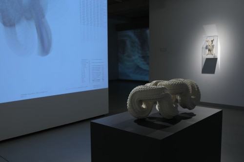 ROUGH CODE dokumentacja wystawy Adama Abla