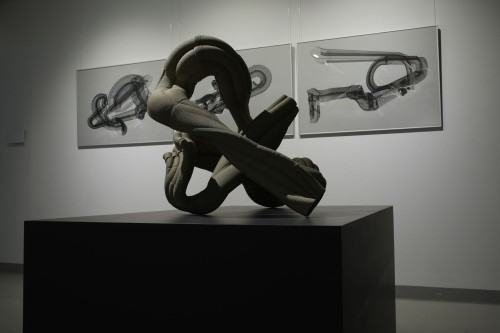 ROUGH CODE dokumentacja wystawy Adama Abla