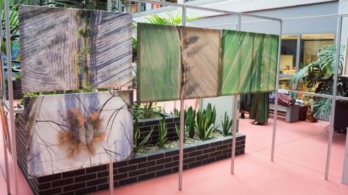 Jak nie, jak tak Jak nie, jak tak