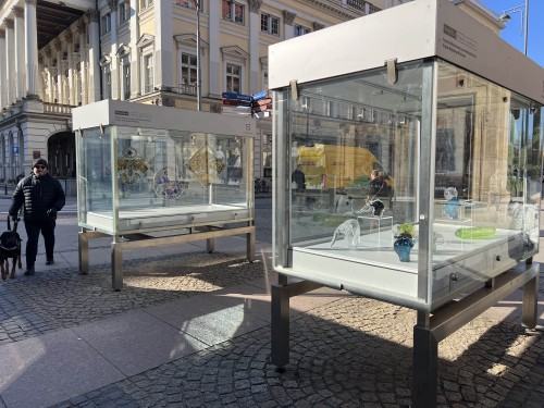 RAZEM - Wydział Ceramiki i Szkła - prezentacja Wydziału Ceramiki i Szkła w gablotach RAZEM - Wydział Ceramiki i Szkła - prezentacja Wydziału Ceramiki i Szkła w gablotach