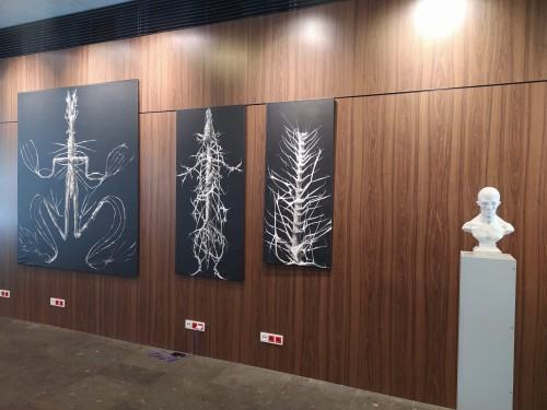 Corpus Humanum , zdj. R. Grabkowski Corpus Humanum , zdj. R. Grabkowski