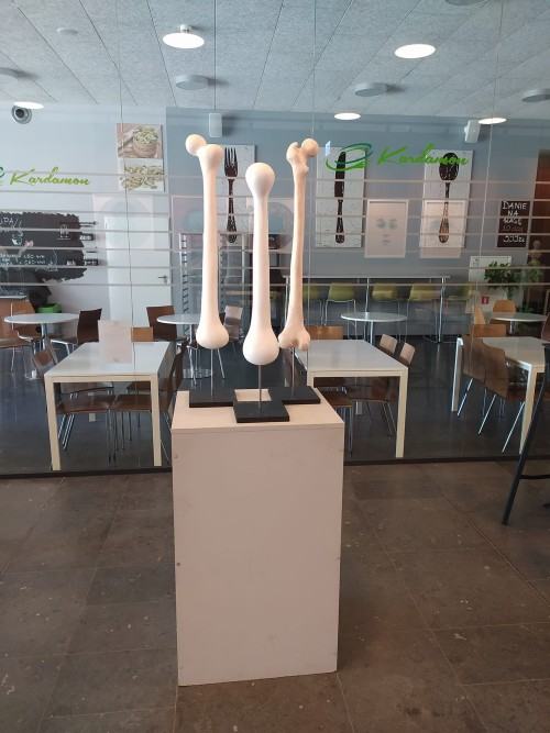 Corpus Humanum , zdj. R. Grabkowski Corpus Humanum , zdj. R. Grabkowski