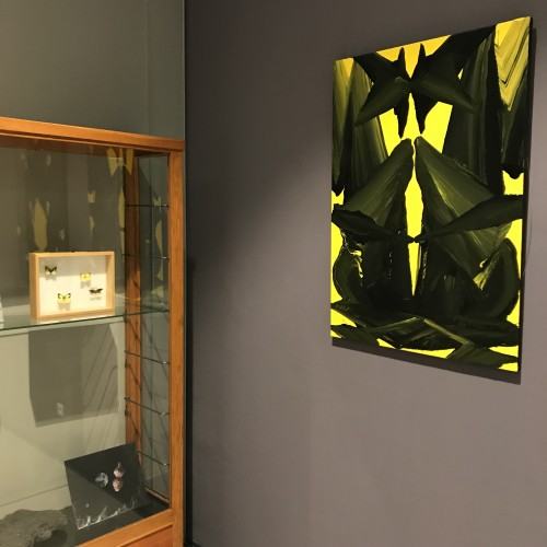 Otwarcie wystawy Na pograniczu światów / Vol.2 / Natura rzeczy