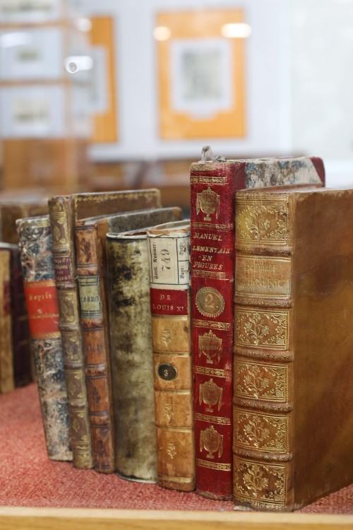 Studenci Rysunku w Zielonej Górze