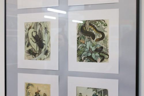 Studenci Rysunku w Zielonej Górze