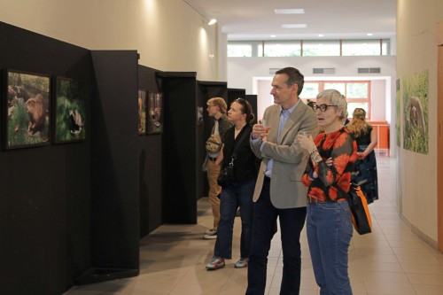 Ewa Martyniszyn, O doświadczeniu bezpośrednim i jego braku Ewa Martyniszyn, O doświadczeniu bezpośrednim i jego braku