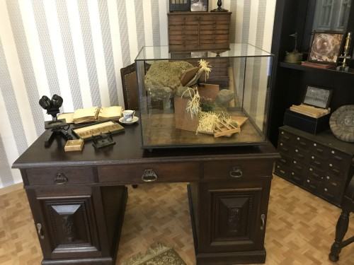 Otwarcie wystawy Na pograniczu światów / Vol.2 / Natura rzeczy