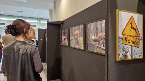 Ewa Martyniszyn, O doświadczeniu bezpośrednim i jego braku Ewa Martyniszyn, O doświadczeniu bezpośrednim i jego braku