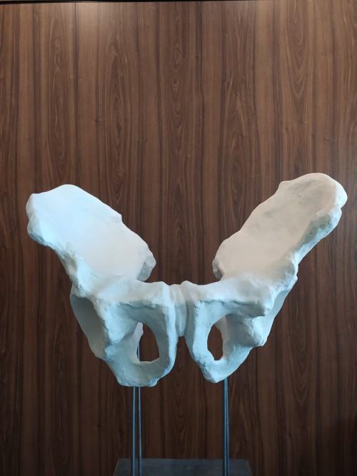 Corpus Humanum , zdj. R. Grabkowski Corpus Humanum , zdj. R. Grabkowski