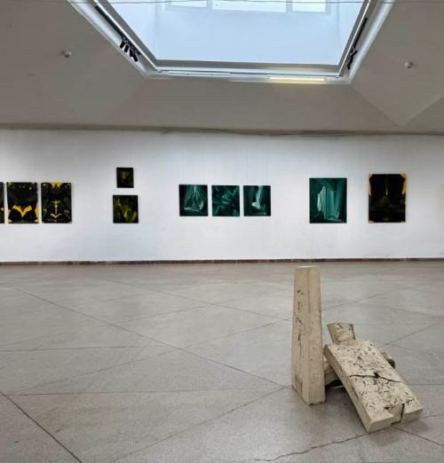 Fede et oriri Fede et oriri