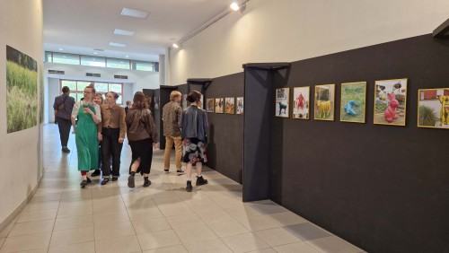 Ewa Martyniszyn, O doświadczeniu bezpośrednim i jego braku Ewa Martyniszyn, O doświadczeniu bezpośrednim i jego braku