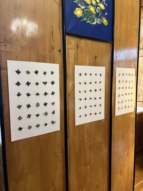 Gottlob Art Residency Gottlob Art Residency