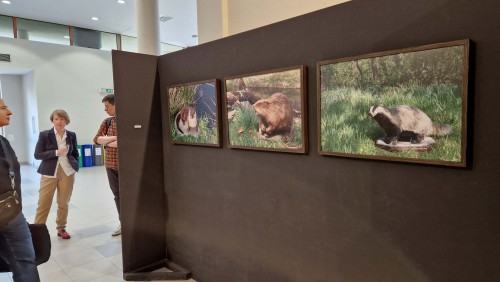 Ewa Martyniszyn, O doświadczeniu bezpośrednim i jego braku Ewa Martyniszyn, O doświadczeniu bezpośrednim i jego braku