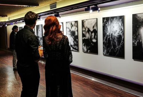 Między cieniem a czułością