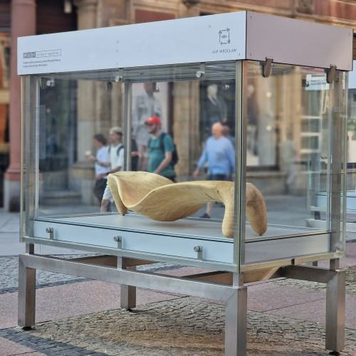 Rzeźba wobec funkcji