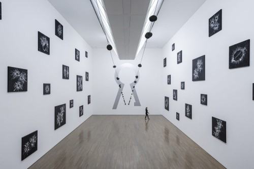 Spotkania i warsztaty z japońskim artystą Hiraku Suzuki