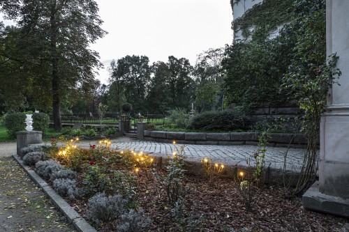 1_szarek-katarzyna_-rozen.jpg Katarzyna Szarek, Rozen